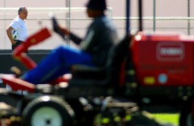 O tcnico Tite do Corinthians durante treino realizado no CT Joaquim Grava