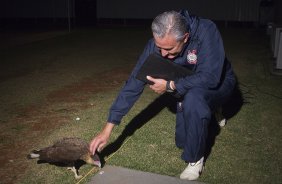 O técnico Tite brinca com um gaviao que apareceu no CT, dizendo que ele dara sorte ao Corinthians e tara o titulo da Libertadores 2012, após o treino realizado esta tarde no CT Joaquim Grava, localizado no Parque Ecológico do Tiete. O próximo jogo da equipe será domingo, dia 20/05, contra o Fluminense, no Pacaembu, abertura do Campeonato Brasileiro de 2012