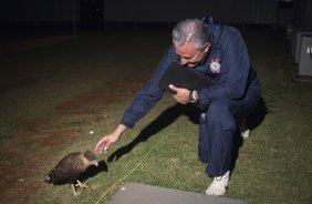 O técnico Tite brinca com um gaviao que apareceu no CT, dizendo que ele dara sorte ao Corinthians e tara o titulo da Libertadores 2012, após o treino realizado esta tarde no CT Joaquim Grava, localizado no Parque Ecológico do Tiete. O próximo jogo da equipe será domingo, dia 20/05, contra o Fluminense, no Pacaembu, abertura do Campeonato Brasileiro de 2012