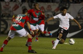 Durante a partida entre Corinthians x Portuguesa, realizada esta noite no estdio do Pacaembu, jogo vlido pela11 rodada do Campeonato Brasileiro de 2012