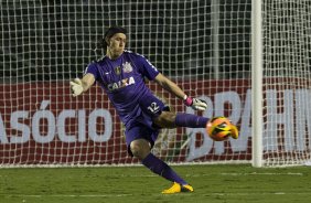 Durante a partida entre Corinthians x Botafogo, realizada esta noite no estdio do Pacaembu, abertura do Campeonato Brasileiro de 2013