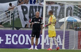 Durante a partida entre Corinthians x Nautico/PE, realizada esta tarde no estdio do Pacaembu, vlida pela 19 rodada do Campeonato Brasileiro de 2013