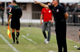 O tcnico Tite do Corinthians durante pertida vlida pelo Brasileiro 2013