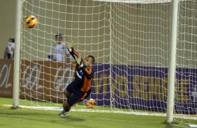 Durante a partida entre Corinthians x Fluminense, realizada esta noite no estádio da Fonte Luminosa, em Araraquara, válido pela 33ª rodada do Campeonato Brasileiro de 2013