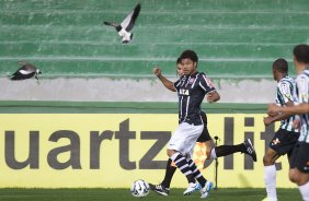 Durante o jogo entre Coritiba x Corinthians realizado esta tarde no estdio Couto Pereira, em Curitiba, vlido pela 13 rodada do Campeonato Brasileiro de 2014