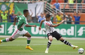 Durante a partida entre Palmeiras x Corinthians, realizada esta tarde no estádio do Pacaembu, válida pela 31ª rodada do Campeonato Brasileiro de 2014