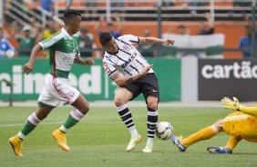 Durante a partida entre Palmeiras x Corinthians, realizada esta tarde no estádio do Pacaembu, válida pela 31ª rodada do Campeonato Brasileiro de 2014