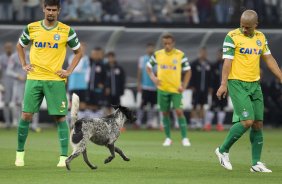 Durante o jogo entre Corinthians x Coritiba, realizado esta noite na Arena Corinthians, vlido pela 32 rodada do Campeonato Brasileiro de 2014