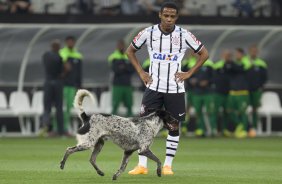 Durante o jogo entre Corinthians x Coritiba, realizado esta noite na Arena Corinthians, vlido pela 32 rodada do Campeonato Brasileiro de 2014