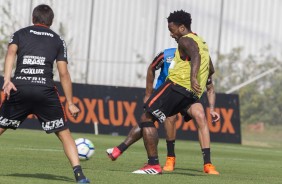 Jogadores em atividade no treino desta sexta