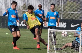 Urso no treinamento de hoje no CT Joaquim Grava