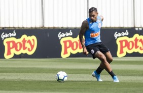 Urso no treino desta quinta no CT Joaquim Grava; Timo se prepara para enfrentar o Fluminense