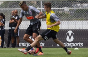 Cantillo e Piton no treino desta manh no CT Joaquim Grava