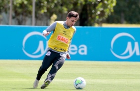 Mosquito no treino desta segunda-feira no CT Joaquim Grava