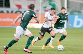 Mosquito no duelo contra o Palmeiras, pelo Campeonato Brasileiro