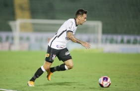 Mosquito na partida entre Corinthians e Guarani, pelo Paulistão, em Campinas