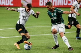 Mosquito na partida entre Corinthians e Palmeiras, no Allianz Parque, pelo Campeonato Brasileiro