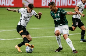 Mosquito na partida entre Corinthians e Palmeiras, no Allianz Parque, pelo Campeonato Brasileiro