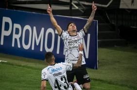 Mosquito no jogo entre Corinthians e Sport, na Neo Qumica Arena, pelo Brasileiro