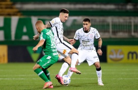 Mosquito durante jogo entre Corinthians e Chapecoense, pelo Brasileiro