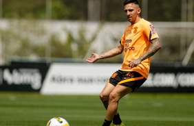Mosquito durante treino do Corinthians