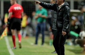 Vanderlei Luxemburgo na beira do campo da Arena Independncia