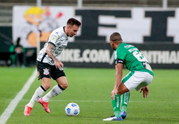 Mosquito na partida entre Corinthians e Juventude, na Neo Qu�mica Arena