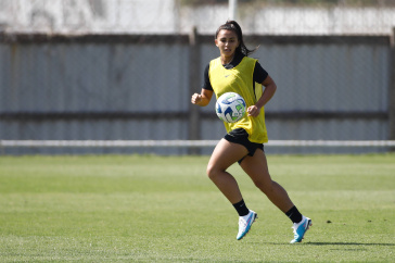 treino