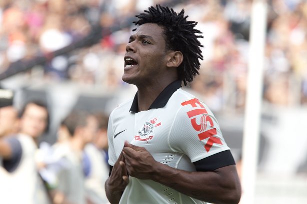 Durante a partida entre Portuguesa x Corinthians, realizada esta tarde no estádio do Caninde, válida pela 1ª rodada do Campeonato Paulista de 2014