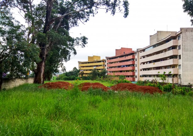 Terreno abandonado tem ligação direta com a escola