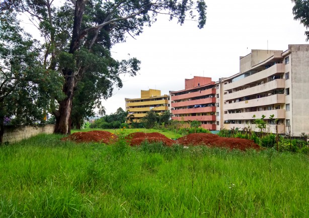 Terreno abandonado tem ligao direta com a escola