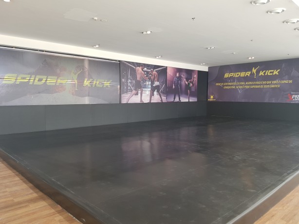 Artes marciais (Muay Thai, Jiu Jitsu e Defesa Pessoal) com treinos elaborados por Anderson Silva