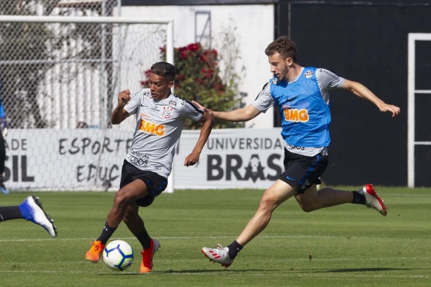 Jogadores no treino deste sábado com foco no CSA pelo brasileiro