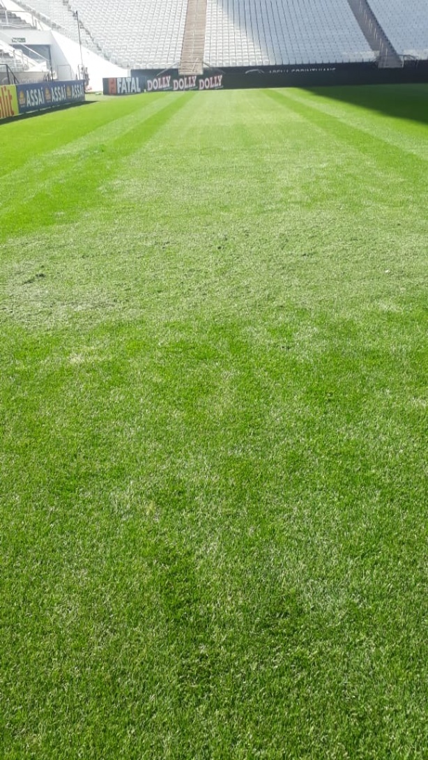 corinthians consegue limpar pichacao de gramado da arena veja fotos corinthians consegue limpar pichacao de