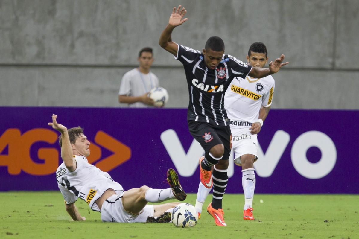 Durante o jogo entre Botafogo x Corinthians, realizado esta noite na Arena Amazônia, válido pela 28ª rodada do Campeonato Brasileiro de 2014